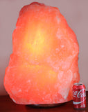 IndusClassic® IC-Lg-06 Giant Natural Himalayan Crystal Rock Salt Lamp Ionizer Air Purifier 140~155 lbs