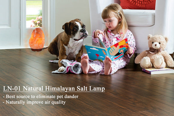 IndusClassic® LN-01 Natural Himalayan Crystal Rock Salt Lamp Ionizer Air Purifier 2~4 lbs With Dimmable Control